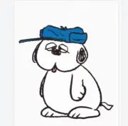 みこわんの画像