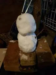 カワウソちゃんの画像