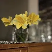 anの画像
