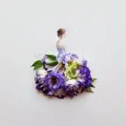 senaの画像