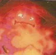 さひ☆。.:＊・゜の画像