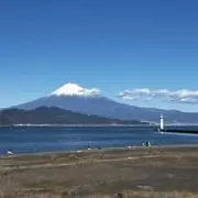naoya aokiの画像