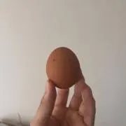 すえの画像