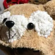 ぴーちゃんの画像