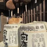 そららの画像