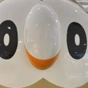 uda