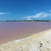 夏恋の画像
