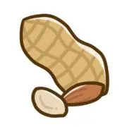 ぴーなっつの画像