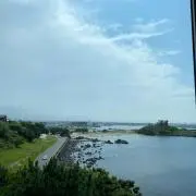 いの画像