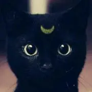 ふたば