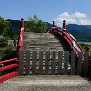 ニコ