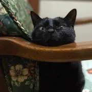 hana＊