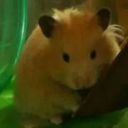みるり　プロフ必読m(_ _)mの画像