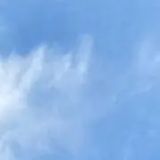 lily@6/21まで発送お休みの画像