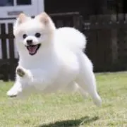 M.Kの画像