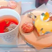 コスモスの画像