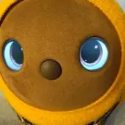 カカオ豆の画像