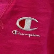 チャピリン('υ'＊)