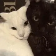 nanafanaの画像