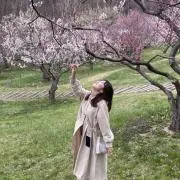 こっちゃんの画像