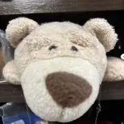 まるまるの画像