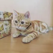 hikariの画像