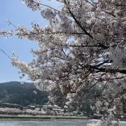 SHELLYの画像