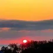 はな／プロフ確認くださいの画像