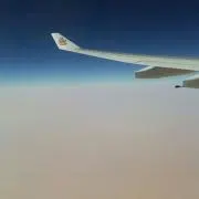 たぐとん