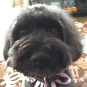凛ママ
