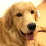 九州大学 過去問 赤本 青本 九大オープン模試 1990〜2008年 - メルカリ