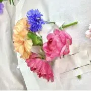 mの画像