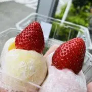 ずっちの画像