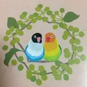 はな★同梱お値下げ致しますの画像