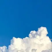 eringiの画像