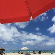 mamama☆即発送の画像