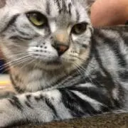 みずきの画像