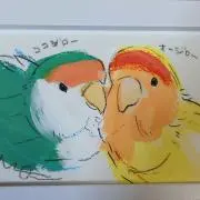 koumaki&オージロー&ココの画像