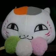 白猫の画像