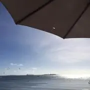 さはり