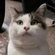 春
