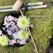 BALEHENGANAの画像