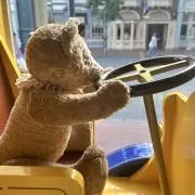 ミツバの画像