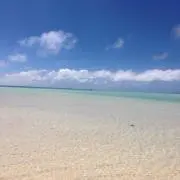 石垣ママの画像