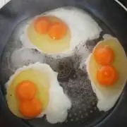 ひよこの画像