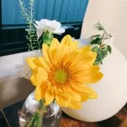 ひまわりの画像