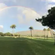 チッチの画像