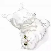 るい