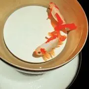 AMANOの画像
