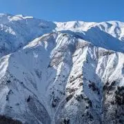 Tatsu